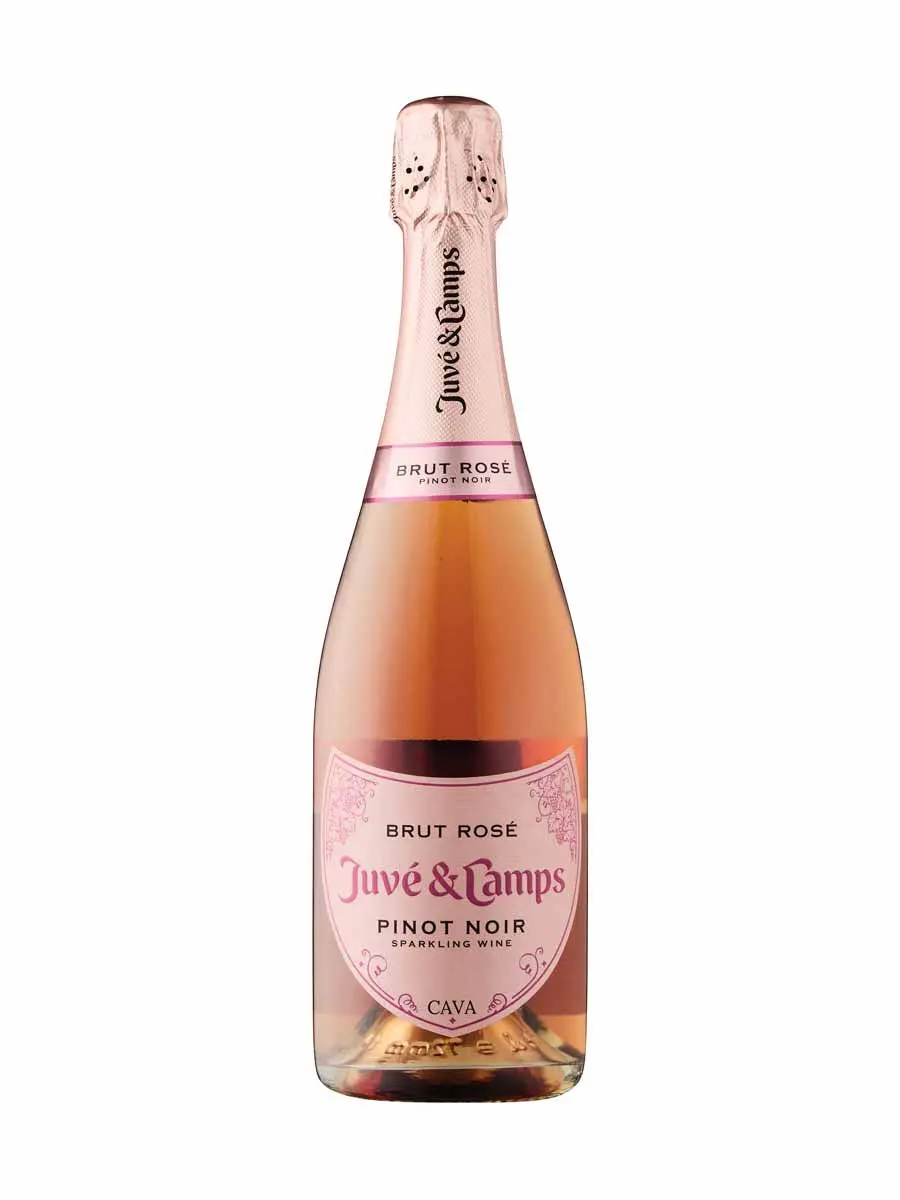 Juve y Camps Pinot Noir Brut Rosé Cava